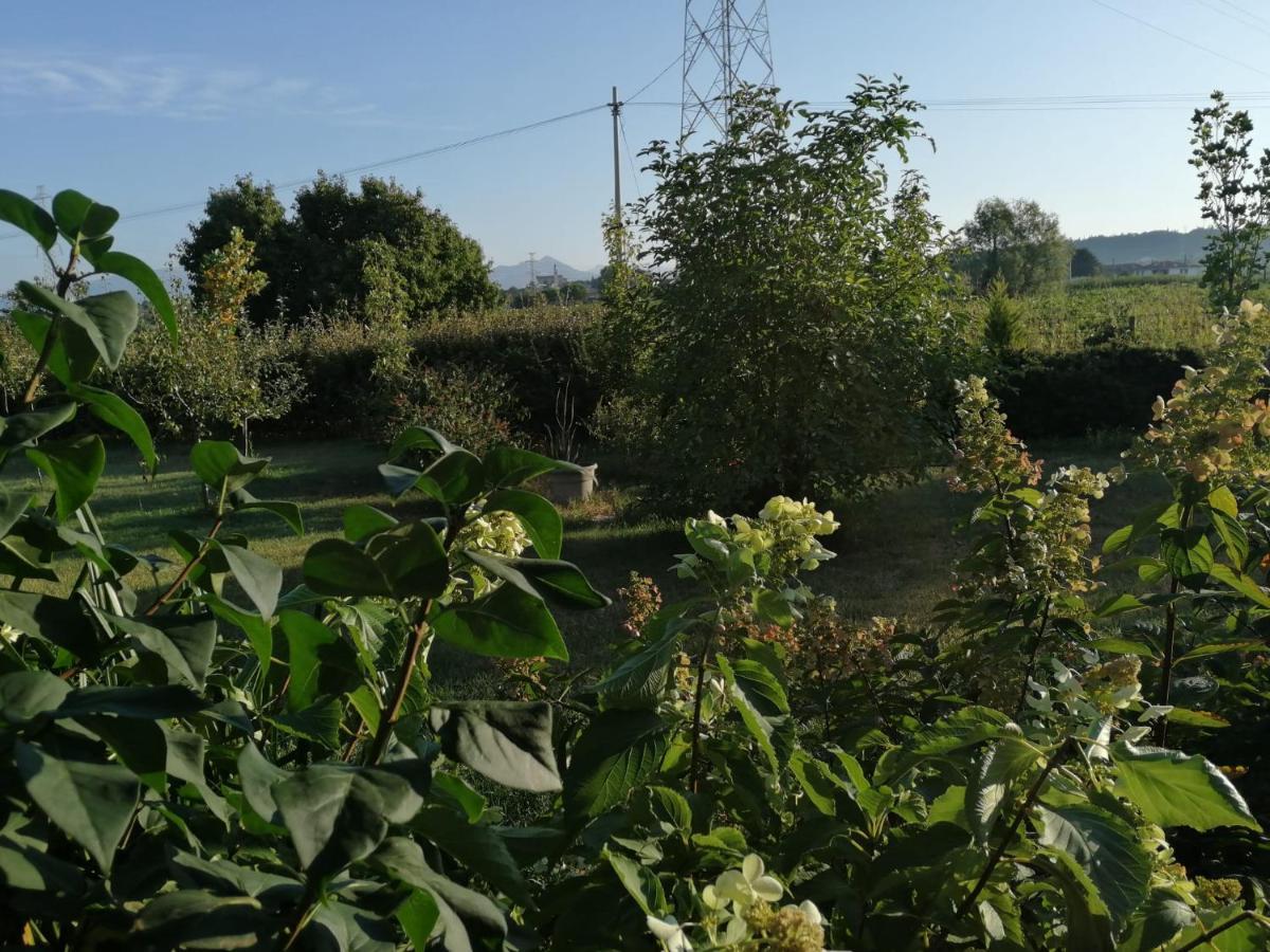 카스텔누보델가다 Ca' Blanca B&B 외부 사진