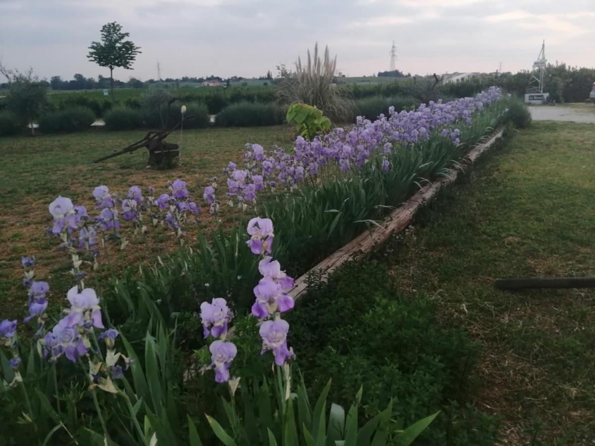 카스텔누보델가다 Ca' Blanca B&B 외부 사진